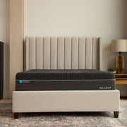 california-king-ice-cloud-14-coolsync-hybrid-mattress-8