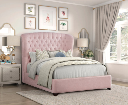 cameo-pink-2-full-bed-2