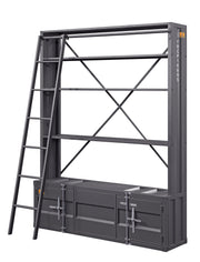 cargo-gunmetal-bookcase-w-ladder-1