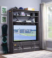 cargo-gunmetal-bookcase-w-ladder-5
