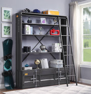 cargo-gunmetal-bookcase-w-ladder-6