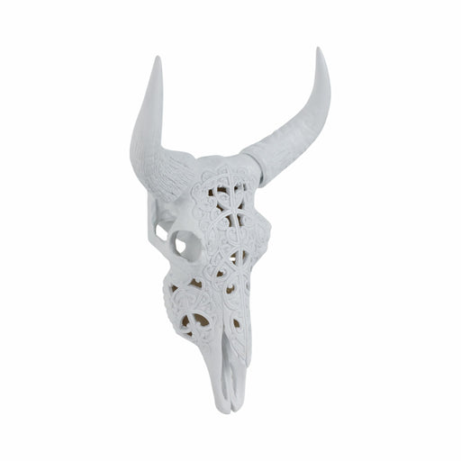 carved-white-bull-skull-18-kd-2