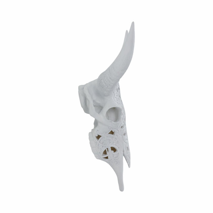 carved-white-bull-skull-18-kd-3