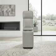 celestia-light-gray-4-5-console-3
