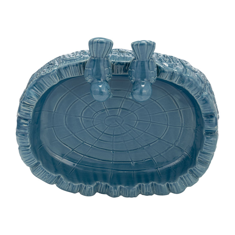 cer-10-2-bird-in-pond-feeder-lyons-blue-6