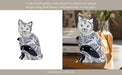 cer-10-sitting-chinoiserie-cat-blue-white-12