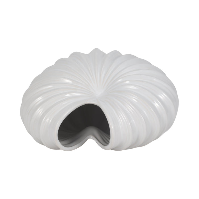 cer-12-shell-vase-white-6