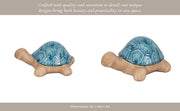 cer-13-tortoise-deco-turq-13