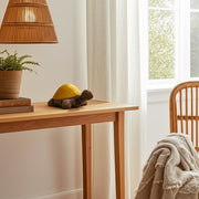 cer-13-tortoise-deco-yellow-9