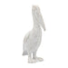 cer-14-h-standing-pelican-white-1