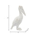 cer-14-h-standing-pelican-white-8