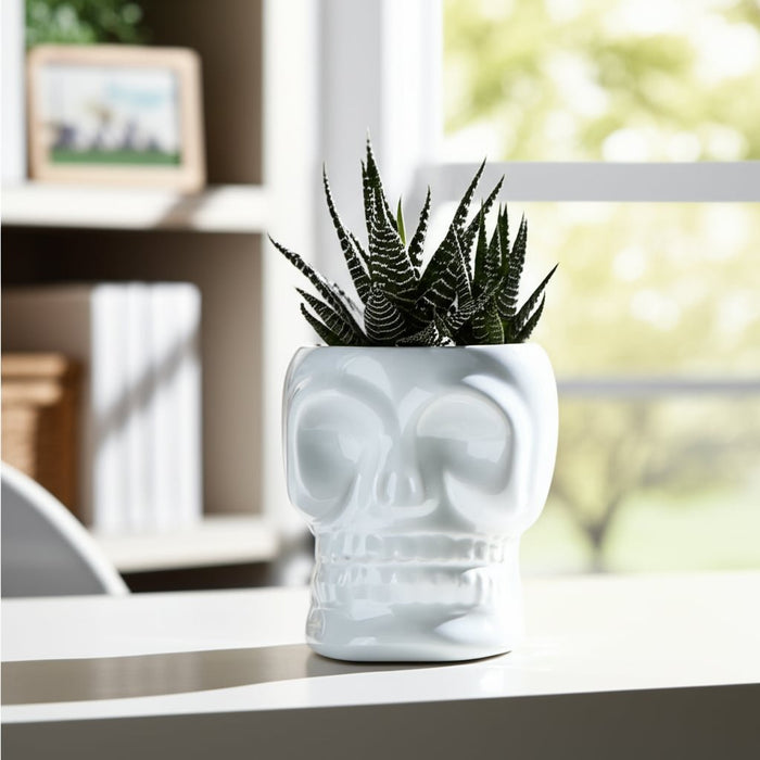 cer-5-skull-vase-white-11