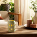 cer-6-h-diamond-cut-out-lantern-cucumber-12