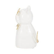 cer-6-h-puppy-with-gold-glasses-and-bowtie-wht-1