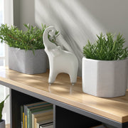 cer-6-x11-elephant-white-9