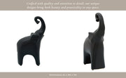 cer-6x11-elephant-matte-black-13