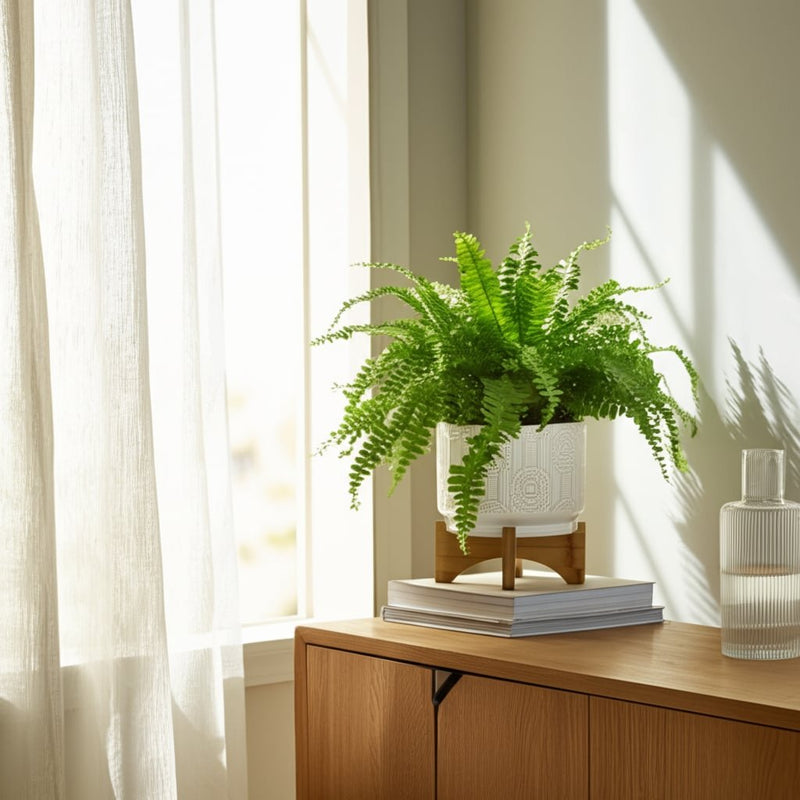 cer-7-circles-planter-on-stand-white-8