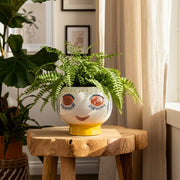 cer-7-d-face-planter-multi-11