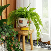 cer-7-d-face-planter-multi-12