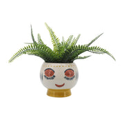 cer-7-d-face-planter-multi-5