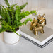 cer-8-dog-table-deco-gold-7
