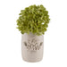 cer-8-h-flower-bunch-vase-ivory-4