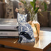 cer-8-sitting-chinoiserie-cat-blue-white-11