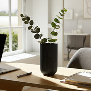 cer-9-h-ridged-vase-black-13