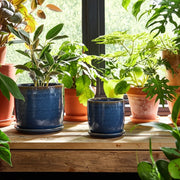 cer-s-2-5-6-planter-w-saucer-aqua-11