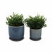 cer-s-2-5-6-planter-w-saucer-aqua-2