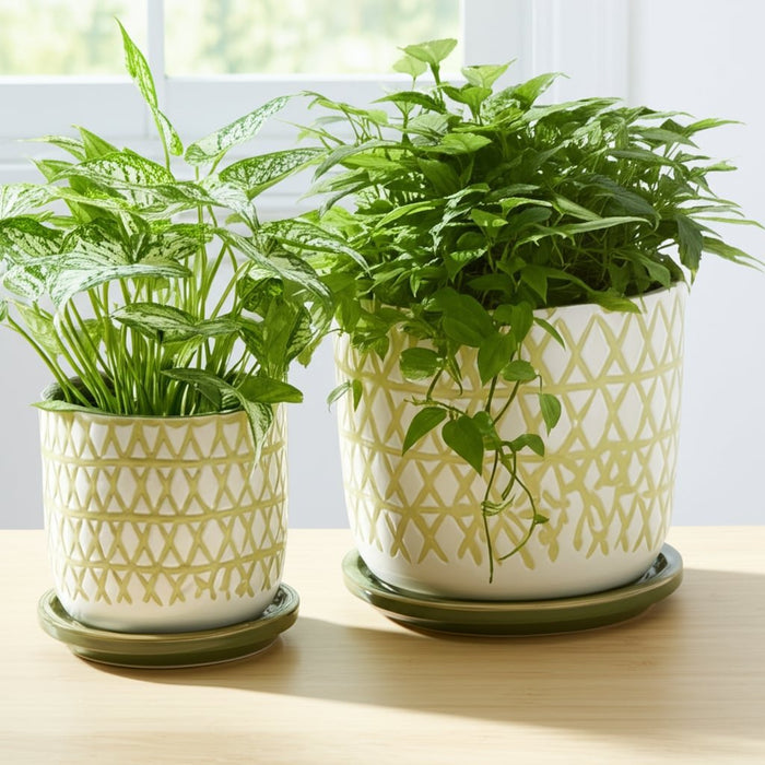 cer-s-2-5-6-x-planter-w-saucer-olive-8