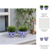 cer-s-2-5-7-bowl-chinoiserie-planters-blue-wht-7