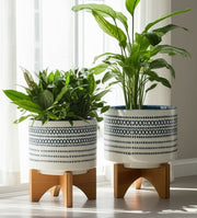 cer-s-2-5-8-planter-on-standw-dots-blue-10