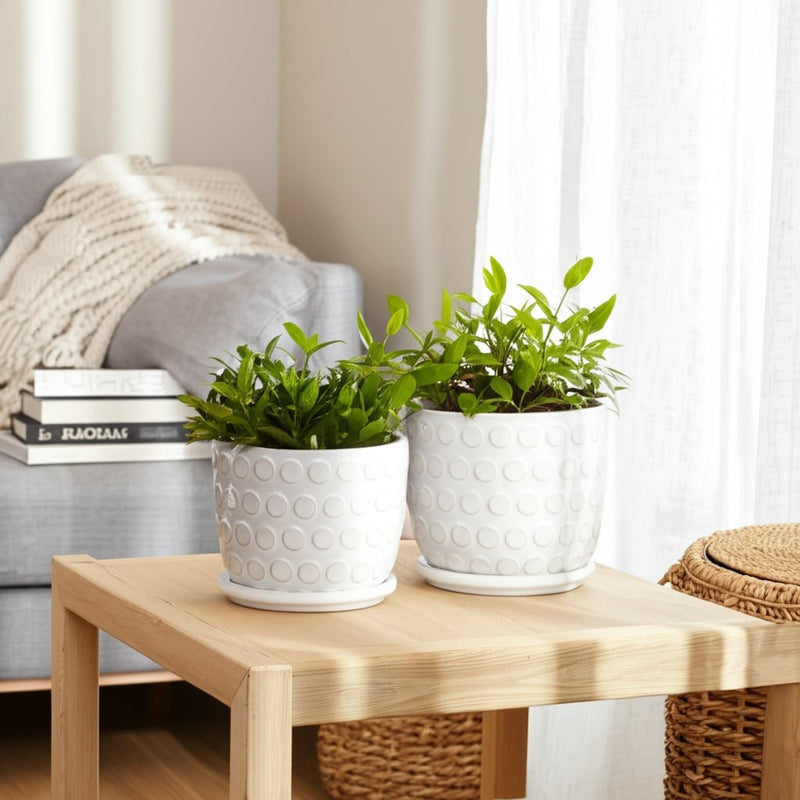 cer-s-2-6-8-bubbles-planter-w-saucer-beige-10