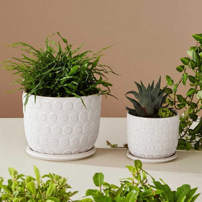 cer-s-2-6-8-bubbles-planter-w-saucer-beige-11