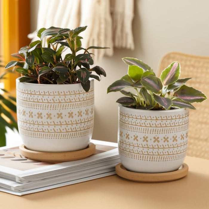 cer-s-2-6-8-planter-w-saucer-brown-10