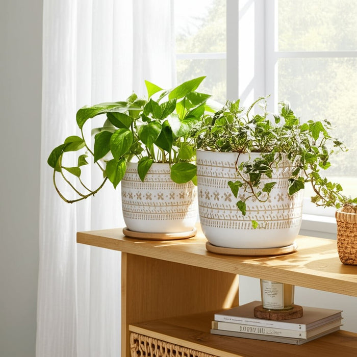 cer-s-2-6-8-planter-w-saucer-brown-11