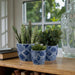 cer-s-3-6-8-10-chinoiserie-planters-blue-white-10