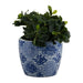 cer-s-3-6-8-10-chinoiserie-planters-blue-white-4