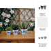 cer-s-3-6-8-10-chinoiserie-planters-blue-white-9