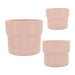 cer-s-3-7-9-10-d-mushroom-planters-blush-1