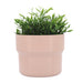 cer-s-3-7-9-10-d-mushroom-planters-blush-2