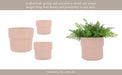 cer-s-3-7-9-10-d-mushroom-planters-blush-6