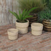 cer-s-3-7-9-10-d-mushroom-planters-tan-10