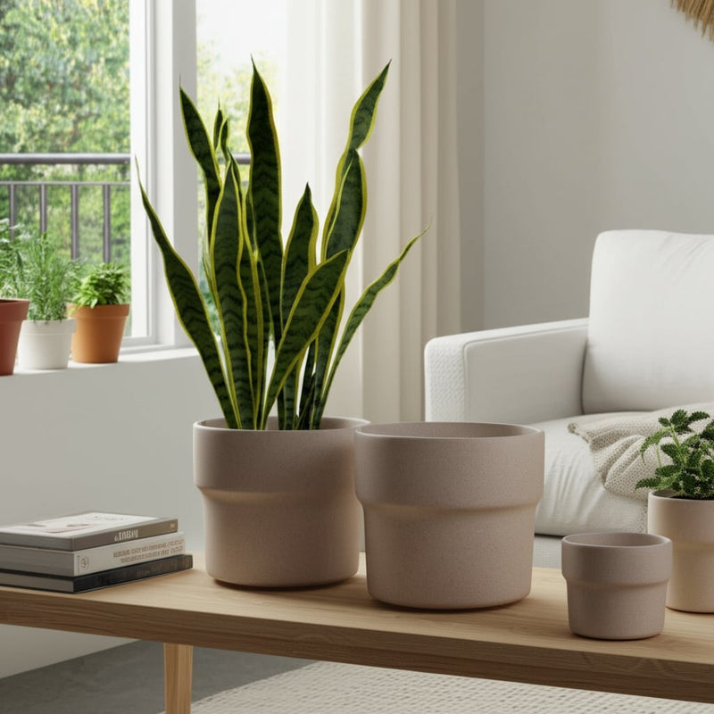 cer-s-3-7-9-10-d-mushroom-planters-tan-11
