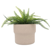 cer-s-3-7-9-10-d-mushroom-planters-tan-3