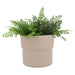 cer-s-3-7-9-10-d-mushroom-planters-tan-4