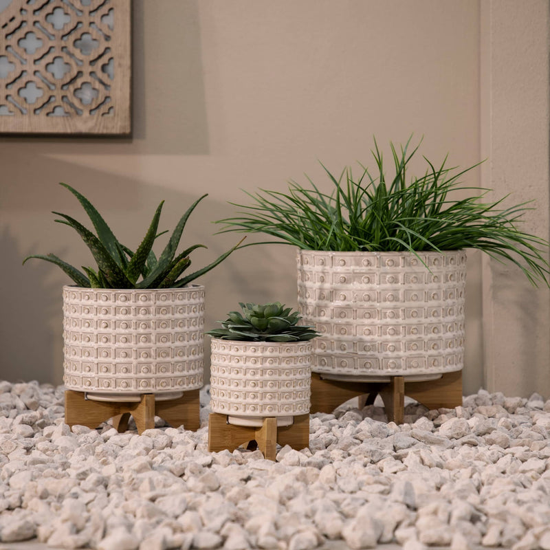 ceramic-5-dotted-planter-w-wood-stand-ivory-10
