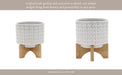 ceramic-5-dotted-planter-w-wood-stand-ivory-14