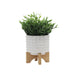 ceramic-5-dotted-planter-w-wood-stand-ivory-3
